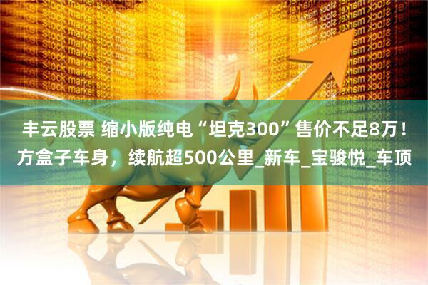 丰云股票 缩小版纯电“坦克300”售价不足8万！方盒子车身，续航超500公里_新车_宝骏悦_车顶